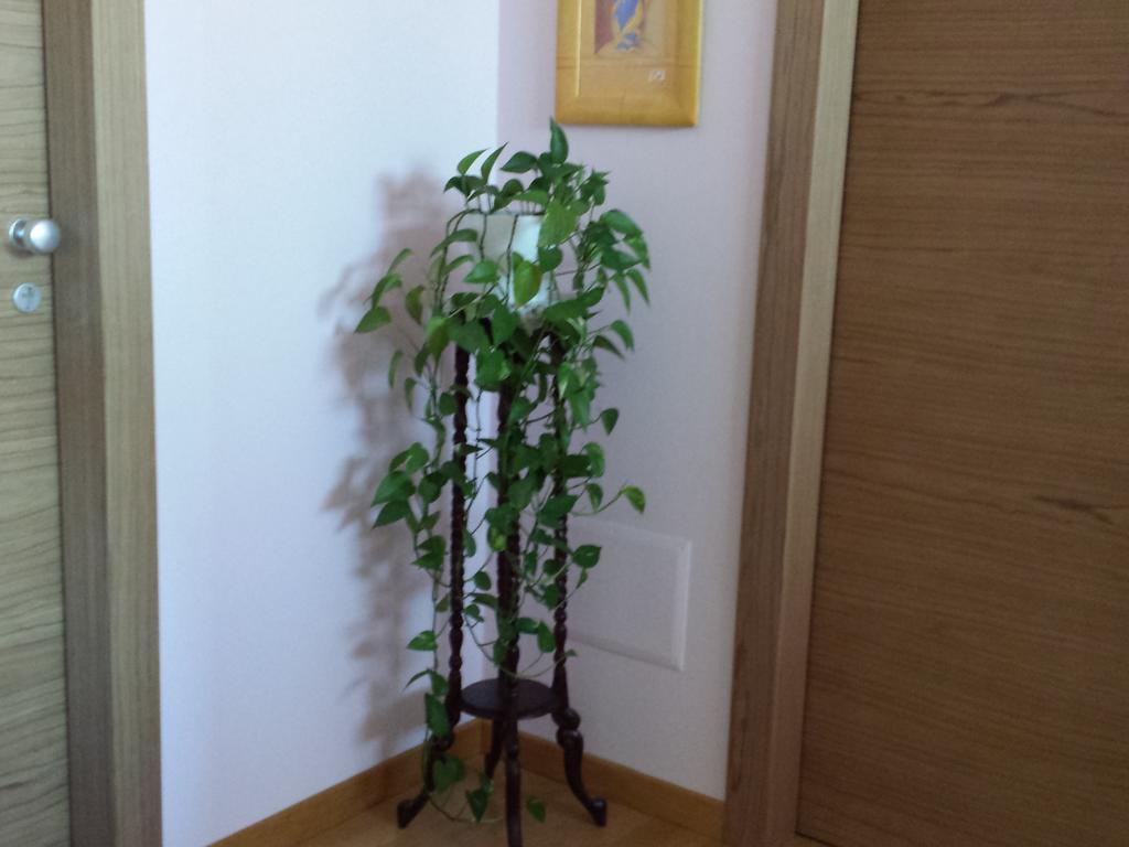 Garden B&B Arezzo Eksteriør bilde